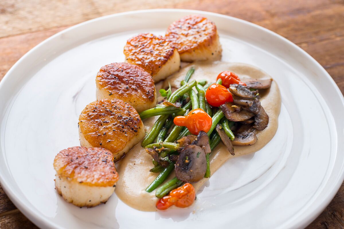 Cannon and Belle Scallops(5)_preview