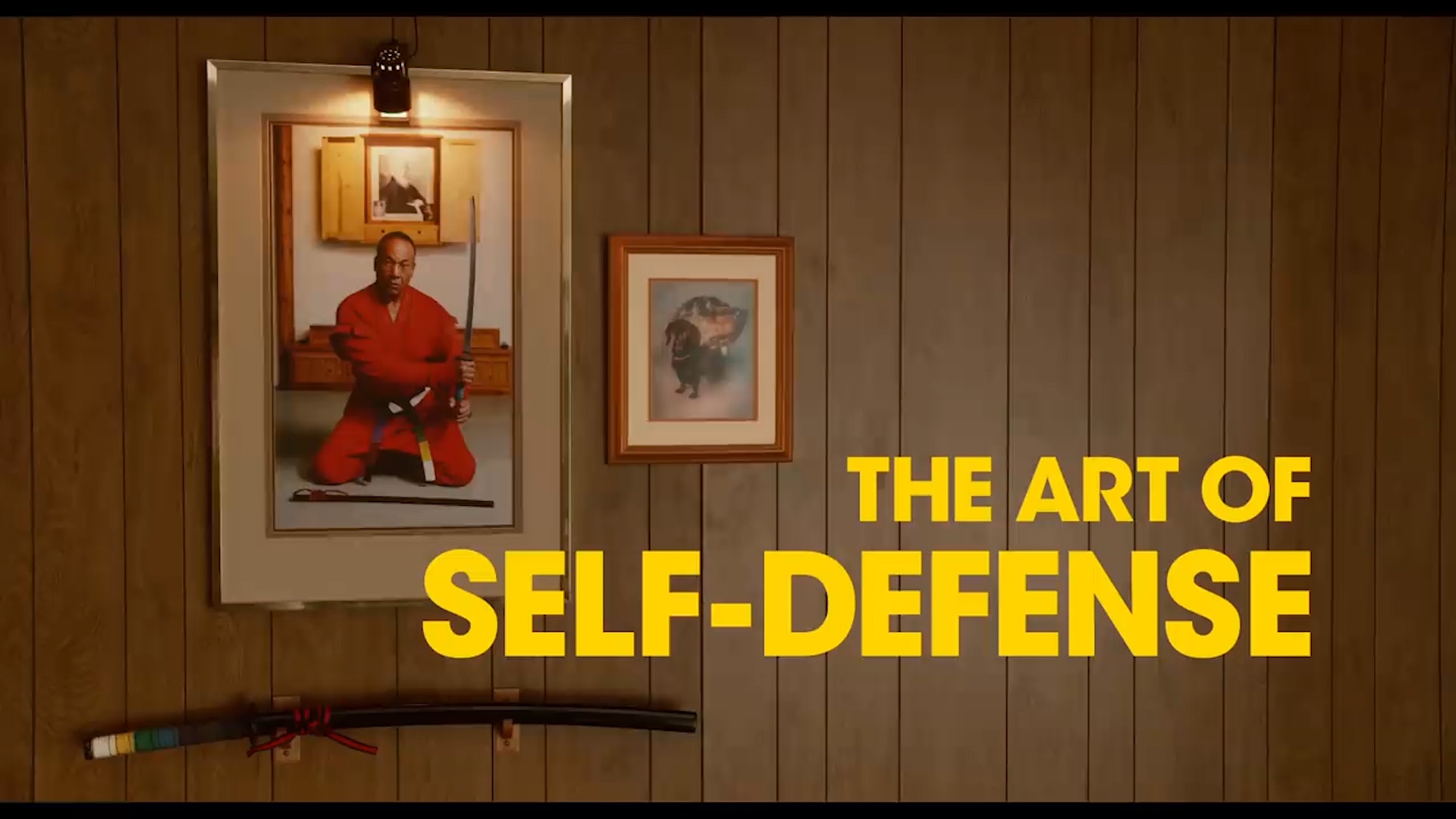 Interview: Riley Stearns - The Art of Self-Defense  2019 American Film  Festival in Wroclaw 