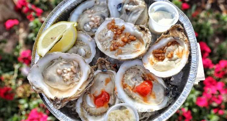 oyster fest 2019