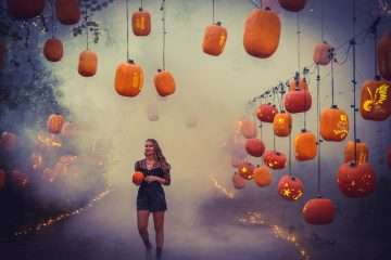 Pumpkin Nights