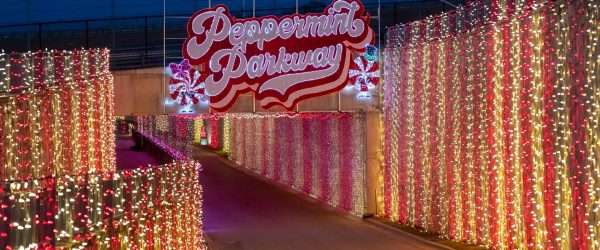 peppermint parkway 2
