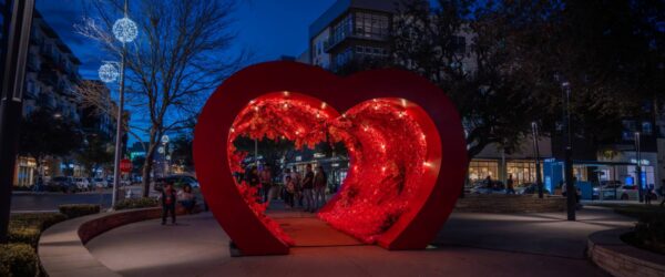 HEART TUNNEL NIGHT Domain North Valentines