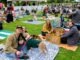 Waterloo Pop-Up_Picnic_22
