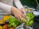 Person washing vegetables under the faucet